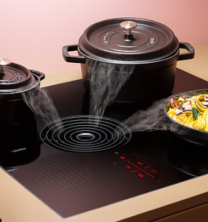 Electric Induction Cooktop + Upgraded Extractor
